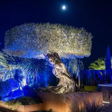 Harmonie - Luxe, Jaccuzzi Et Piscine En Charente-maritime * Saint-Ciers-du-Taillon