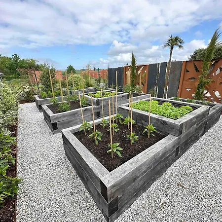 Harmonie - Luxe, Jaccuzzi Et Piscine En Charente-maritime *