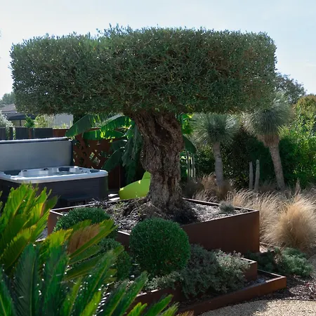 Harmonie - Luxe, Jaccuzzi Et Piscine En Charente-maritime Saint-Ciers-du-Taillon