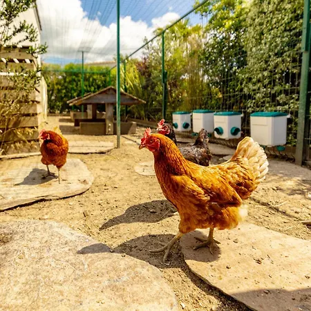 Harmonie - Luxe, Jaccuzzi Et Piscine En Charente-maritime Βίλα *