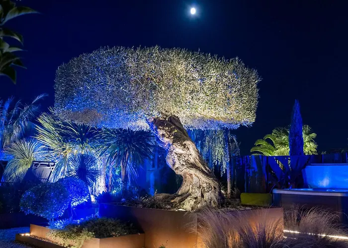 Harmonie - Luxe, Jaccuzzi Et Piscine En Charente-maritime * Saint-Ciers-du-Taillon