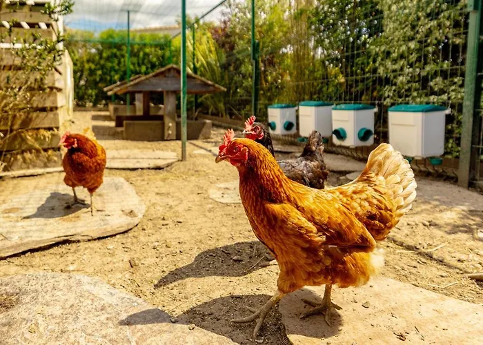 Harmonie - Luxe, Jaccuzzi Et Piscine En Charente-maritime Villa *